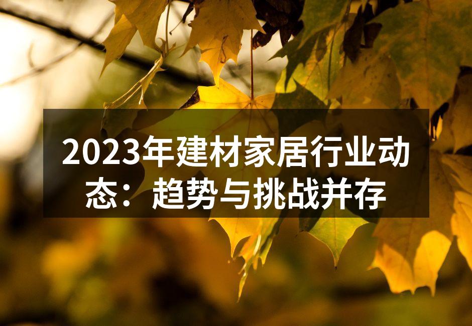 2023年建材家居行业动态:趋势与挑战并存