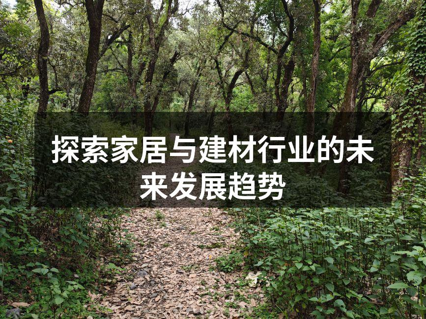 探索家居与建材行业的未来发展趋势